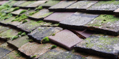 Barcombe Mills roof repair costs